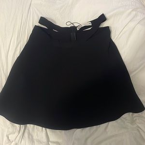 Zara Skirt